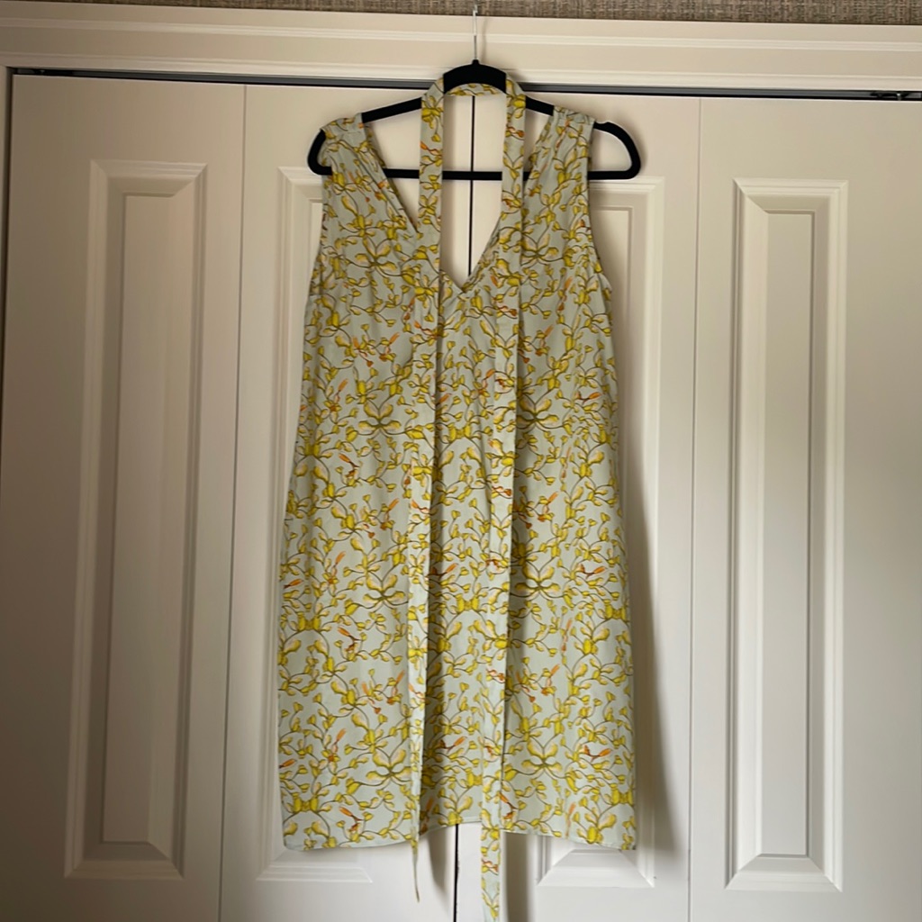 Dress, Silk, Sleeveless Belt